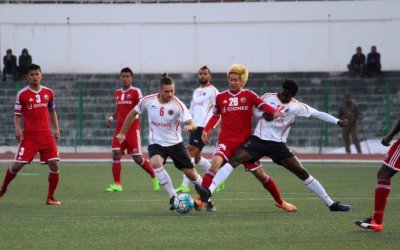 PAYNE'S BRACE SEALS POLE FOR RED & GOLDS