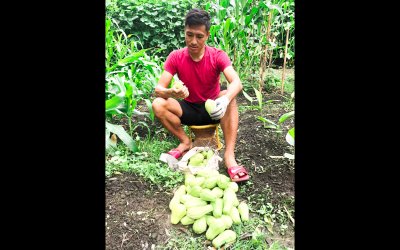 Organic farming keeps ex-India skipper Gouramangi Singh 'fresh' in lockdown